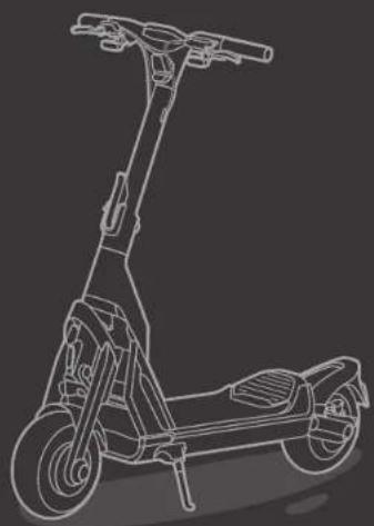SEGWAY Ninebot KickScooter GT2P - Trademark - 3