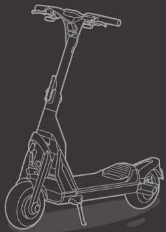 SEGWAY Ninebot KickScooter GT2P - 1