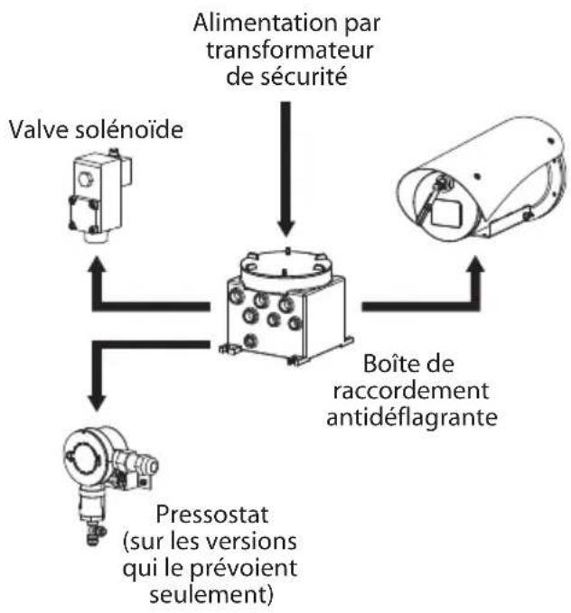Videotec WASEX - Branchement à la caméra (MAXIMUS MVX) - 3
