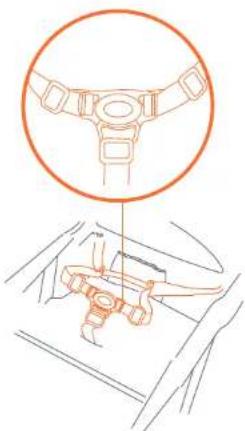 Baby Trend Sit N' Stand - JUMP SEAT - 3 POINT HARNESS ASIENTO ADICIONAL - ARNÉS DE 3 PUNTAS SIÈGE ARRIÈRE - HARNAIS DE SÉCURITÉ 3 POINTS - 2