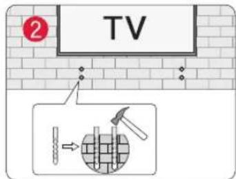 TV ②