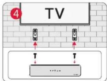 TV 4