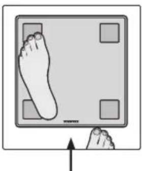 SOEHNLE Shape Sense Connect Lite - BMI - 17