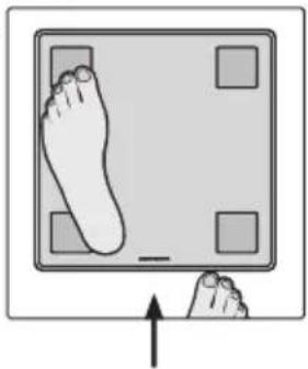 SOEHNLE Shape Sense Connect Lite - BMI - 18