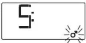 SOEHNLE Shape Sense Connect Lite - BMI - 15