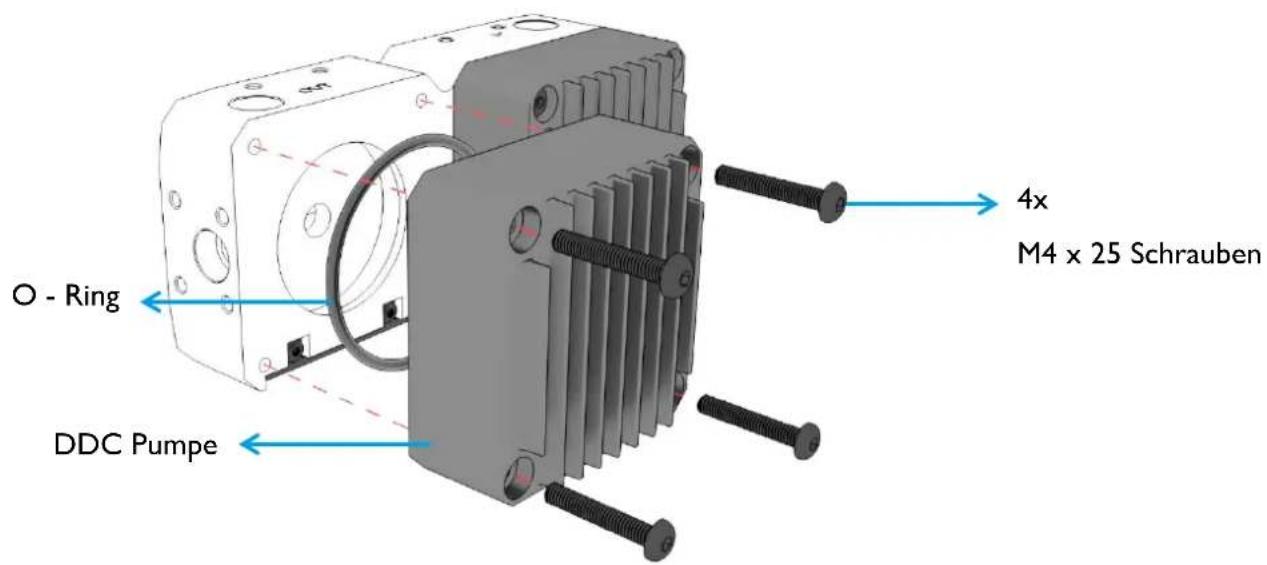 Alphacool Eisdecke D5 Dual - DIMENSIONEN: EISDECKE DUAL D5 / VPP PMMA - 3