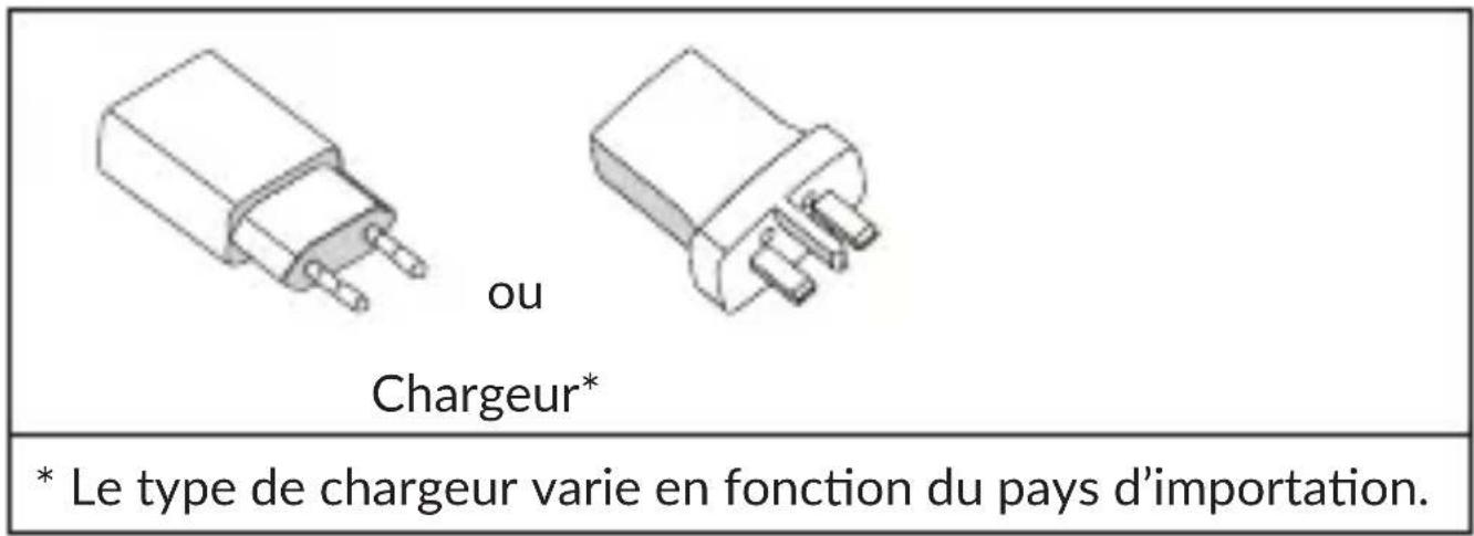 ou Chargeur* * Le type de chargeur varie en fonction du pays d'importation.