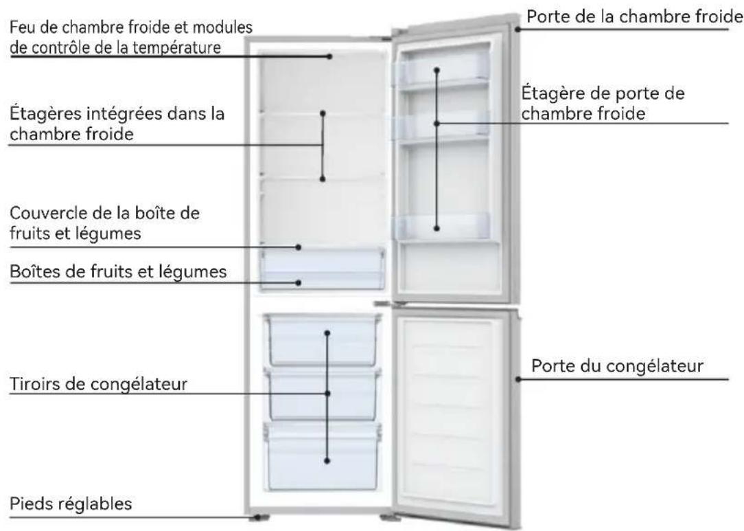 Feu de chambre froide et modules de contrôle de la température Étagères intégrées dans la chambre froide Couvercle de la boîte de fruits et légumes Boîtes de fruits et légumes Tiroirs de congélateur Pieds réglables Porte de la chambre froide Étagère de porte de chambre froide Porte du congélateur