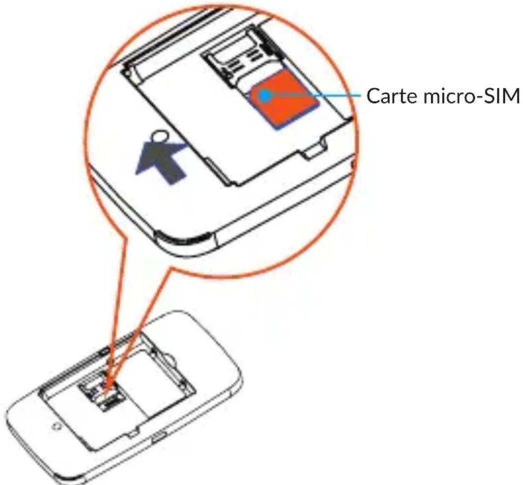Carte micro-SIM