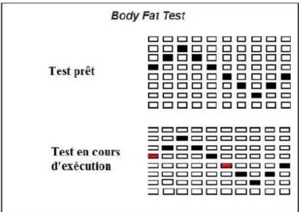Toorx ERX-90 - Observation: - 2