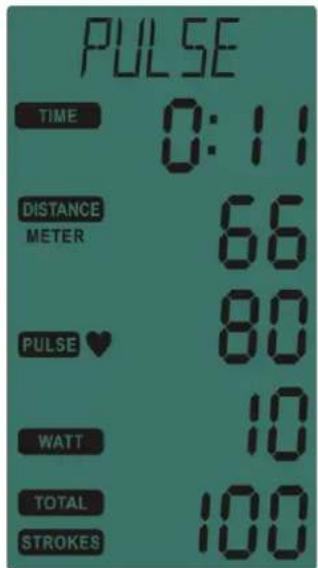 Toorx ROWER SEA COMPACT - TEMPS CIBLE : - 12