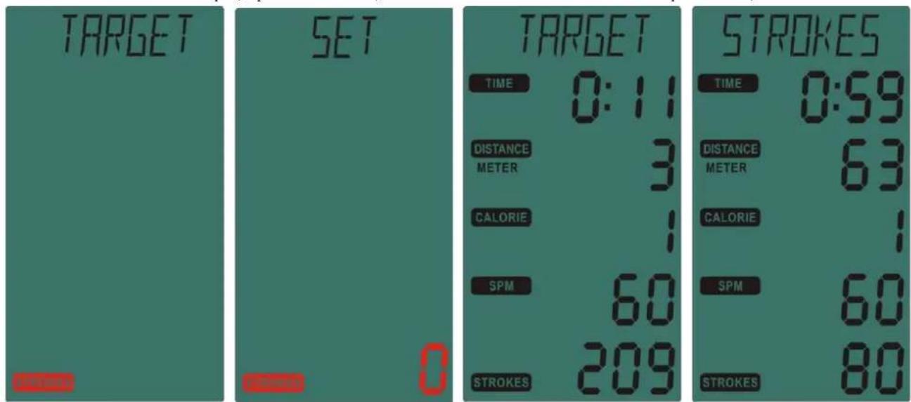 Toorx ROWER SEA COMPACT - TEMPS CIBLE : - 7