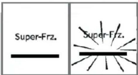 HAIER HFR3718ENPT - Función Super-Freeze - 1