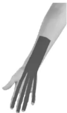 Newgen Medicals NC-2326 - Deltamuskel: Hinteren Schulterbereich tapen - 2