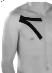 Newgen Medicals NC-2326 - Muscle grand pectoral : bandage de la poitrine - 1