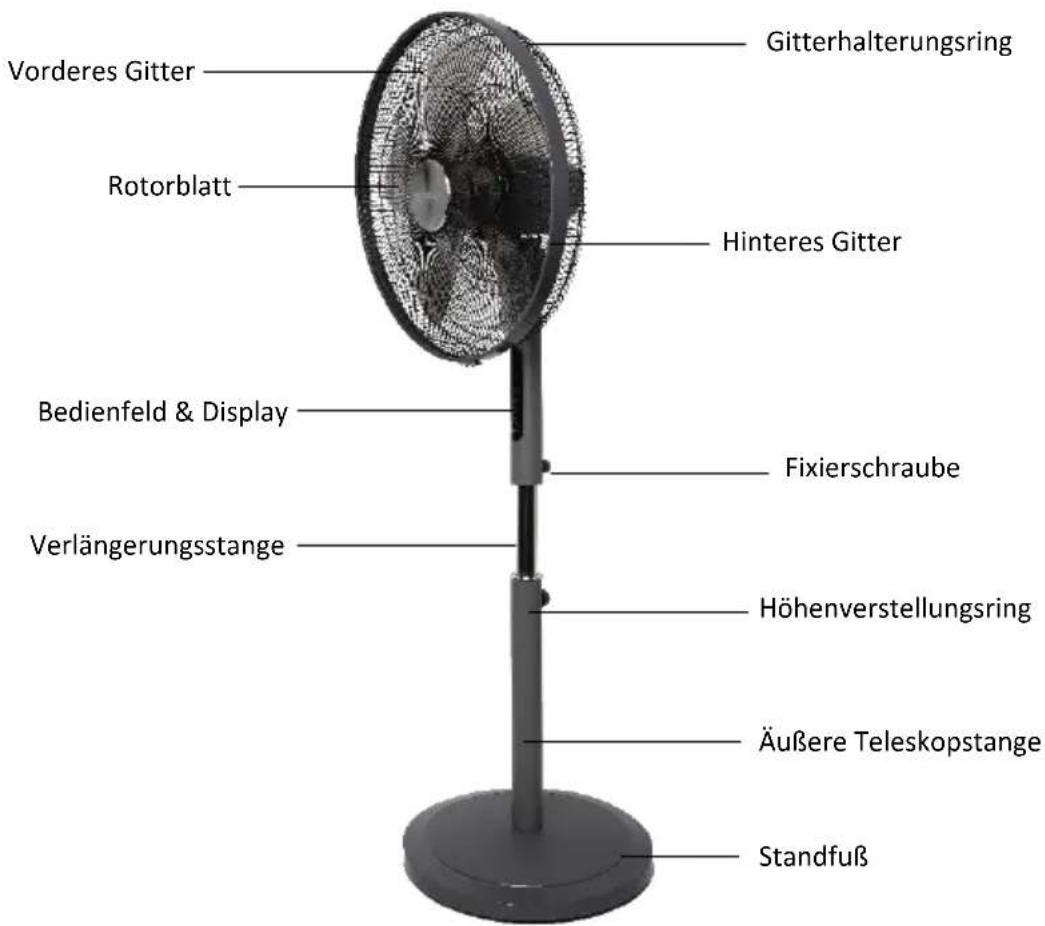 Be Cool BC18ST2505 - Produktbeschreibung - 1