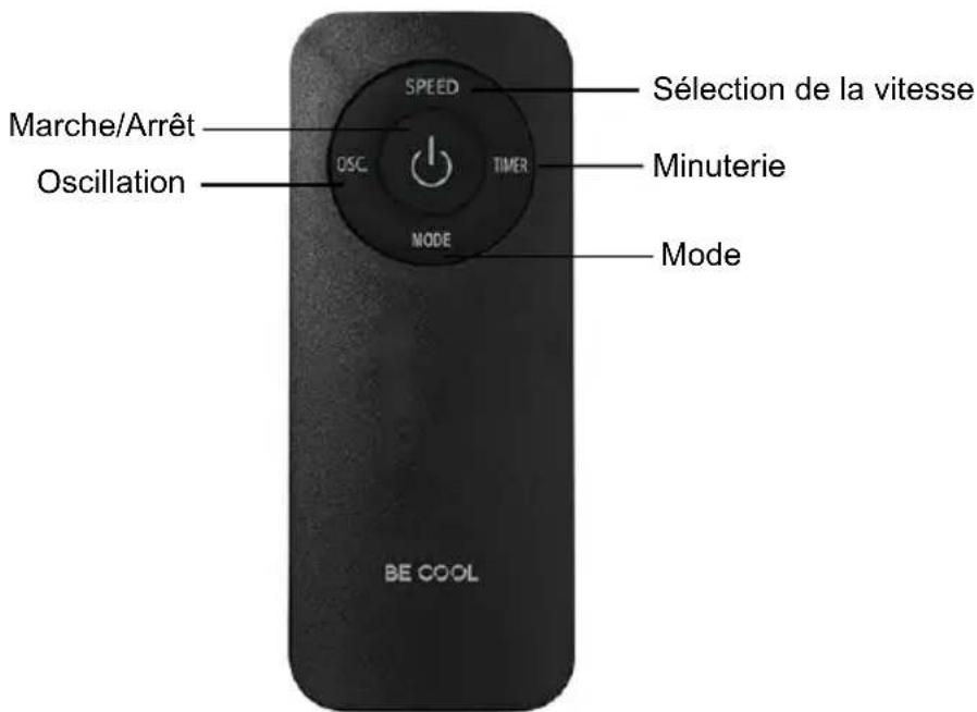 Be Cool BC18ST2505 - BE COOL - 2