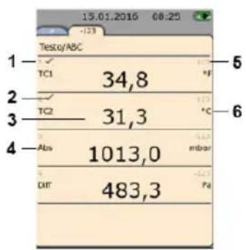 Testo 480 - Ligne de statut et onglets - 7