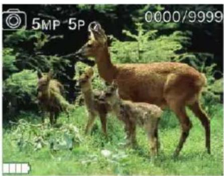 ZEISS Secacam 3 - Statusinformation im Display - 1