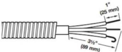 WHIRLPOOL YWED6720RW - Préparer le cable à 3 fils pour un raccordement direct - 1