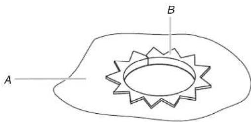 WHIRLPOOL YWMMF5930PW - Mark Rear Wall - 6