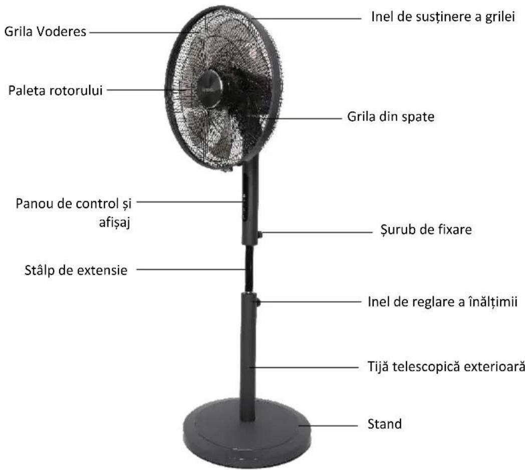 Be Cool BC16STHPM2505 - Descrierea produsului - 1