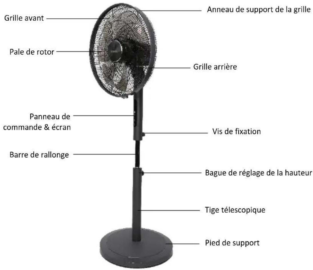 Be Cool BC16STHPM2505 - Description du produit - 1