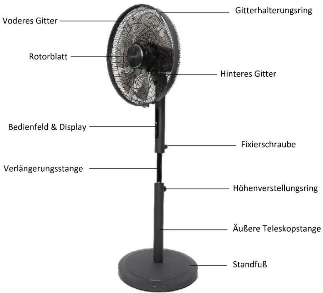 Be Cool BC16STHPM2505 - Produktbeschreibung - 1