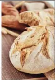 Tognana Iridea D2DIP01IRCH - RECETTES - 1