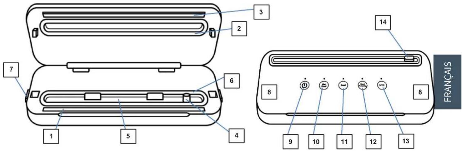 Tognana Avantspace D2DMS01AVSP - COMPOSANTS - 1