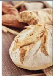 Tognana Iridea D2DIP01IRRO - RECETTES - 1