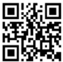 BLUEPALM BP05CSKL2501 - Modes d'emploi actuels et autres langues - 1