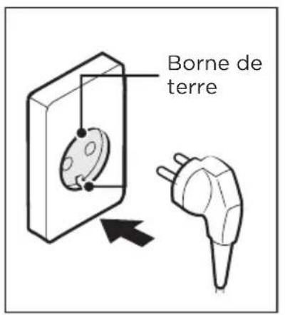 Borne de terre