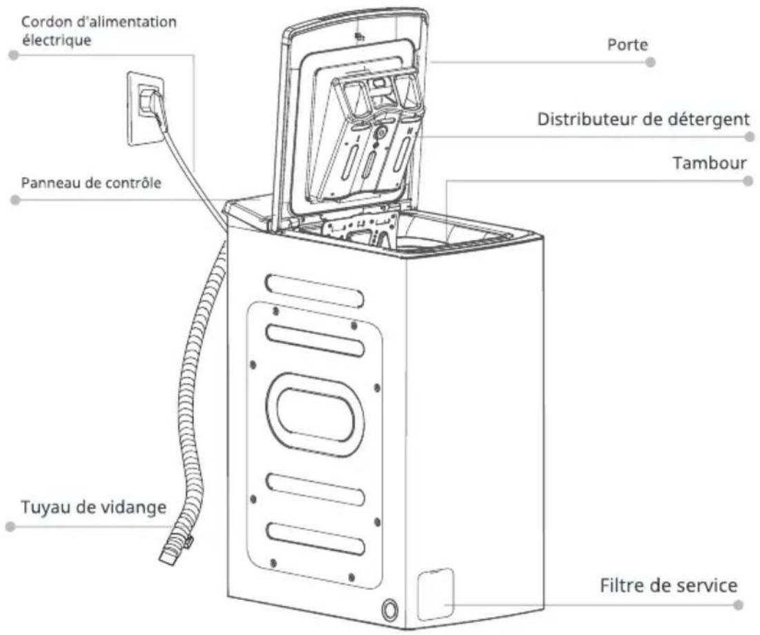 Cordon d'alimentation électrique Porte Distributeur de détergent Tambour Panneau de contrôle Tuyau de vidange Filtre de service