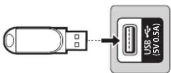 SAMSUNG PS43E400U1W - Ligar um dispositivo USB - 1