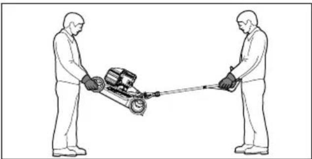 STIHL RM 248 T - Rasenmäher tragen - 1