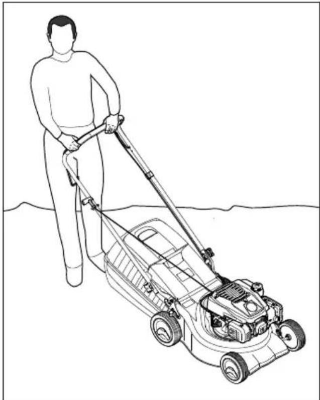 STIHL RM 248 T - Maaien - 1