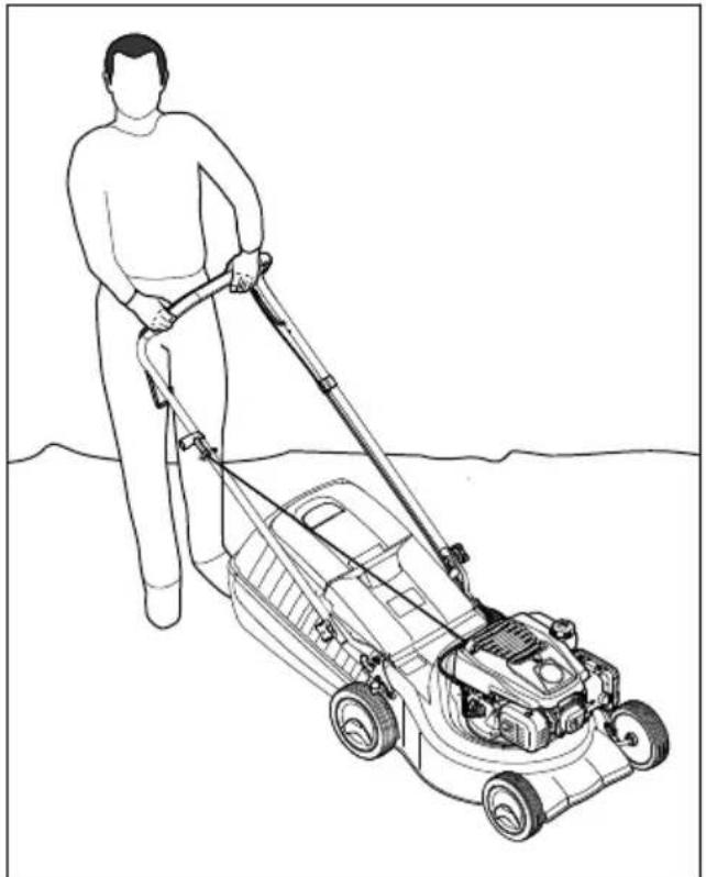 STIHL RM 248 T - Mowing - 1