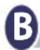 RGV Bollitore Digitale - Bouilloire numérique FR - 2