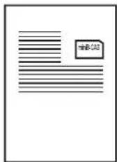 Qriom TPD-L90FW - 捆包品 - 12