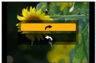 PANASONIC Lumix DC-FZ80D - MENU → Lect.] → [Tourner] - 1