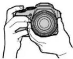 PANASONIC Lumix DC-FZ80D - Mode d'enregistrement : iA iA+ P A S M eB M S C N - 1