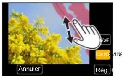 Annuler Rég.R MOVE SCALING SEALING