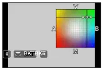 PANASONIC Lumix DC-FZ80D - Enregistrement avec bracketing de la balance des blancs - 1