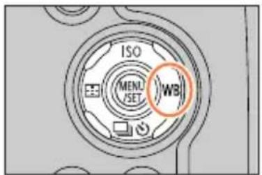 ISO MENU SET WB