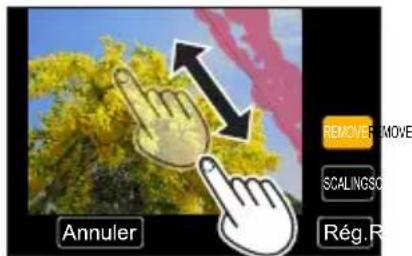 Annuler REMOVE REMOVE SCALINGSO Rég.R