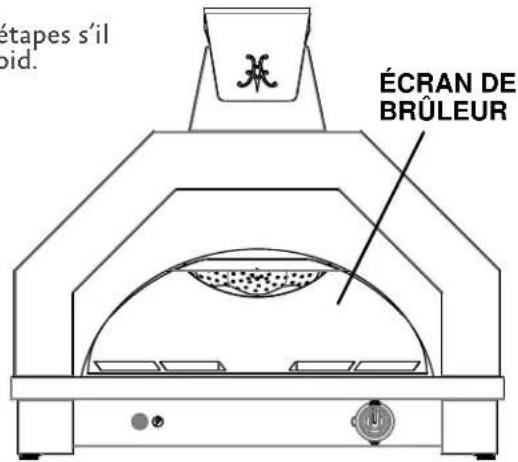 Hestan AGPO33 - ENTRETIEN DU BRÛLEUR - 1