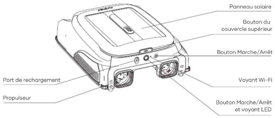 Aiper Surfer M1 - Structure - 1