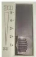 Phoenix Contact CF 500-230V - error - 1
