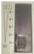 Phoenix Contact CF 500-230V - A Priloga - 12